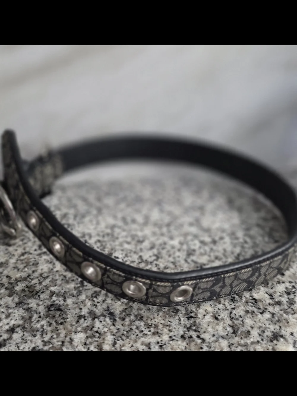 Authentic Coach Signature Black Gray Logo Dog Cat Pet Collar 4003 Medium Retired